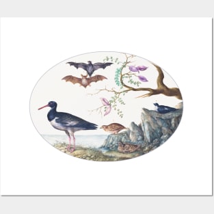 Bats, Quail, and Oystercatcher by the Water (1575–1580) Posters and Art